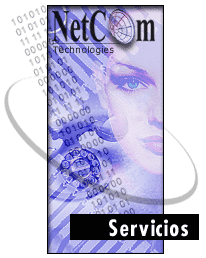 Servicios